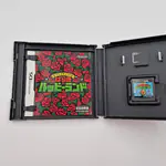 Tingle's Rosy Rupeeland (Japan) Nintendo DS - 縮圖 4
